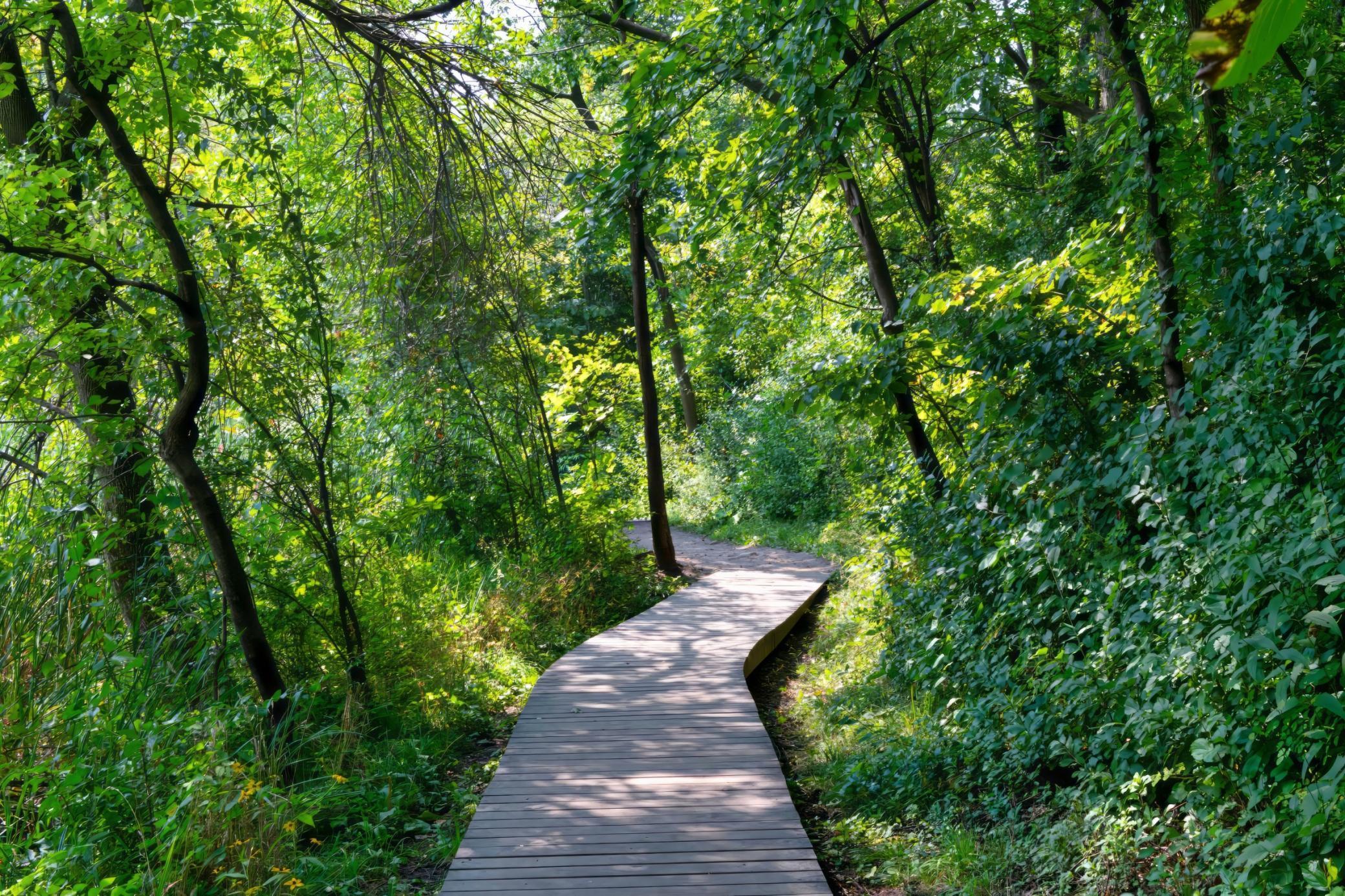 12297 Coffee Trail