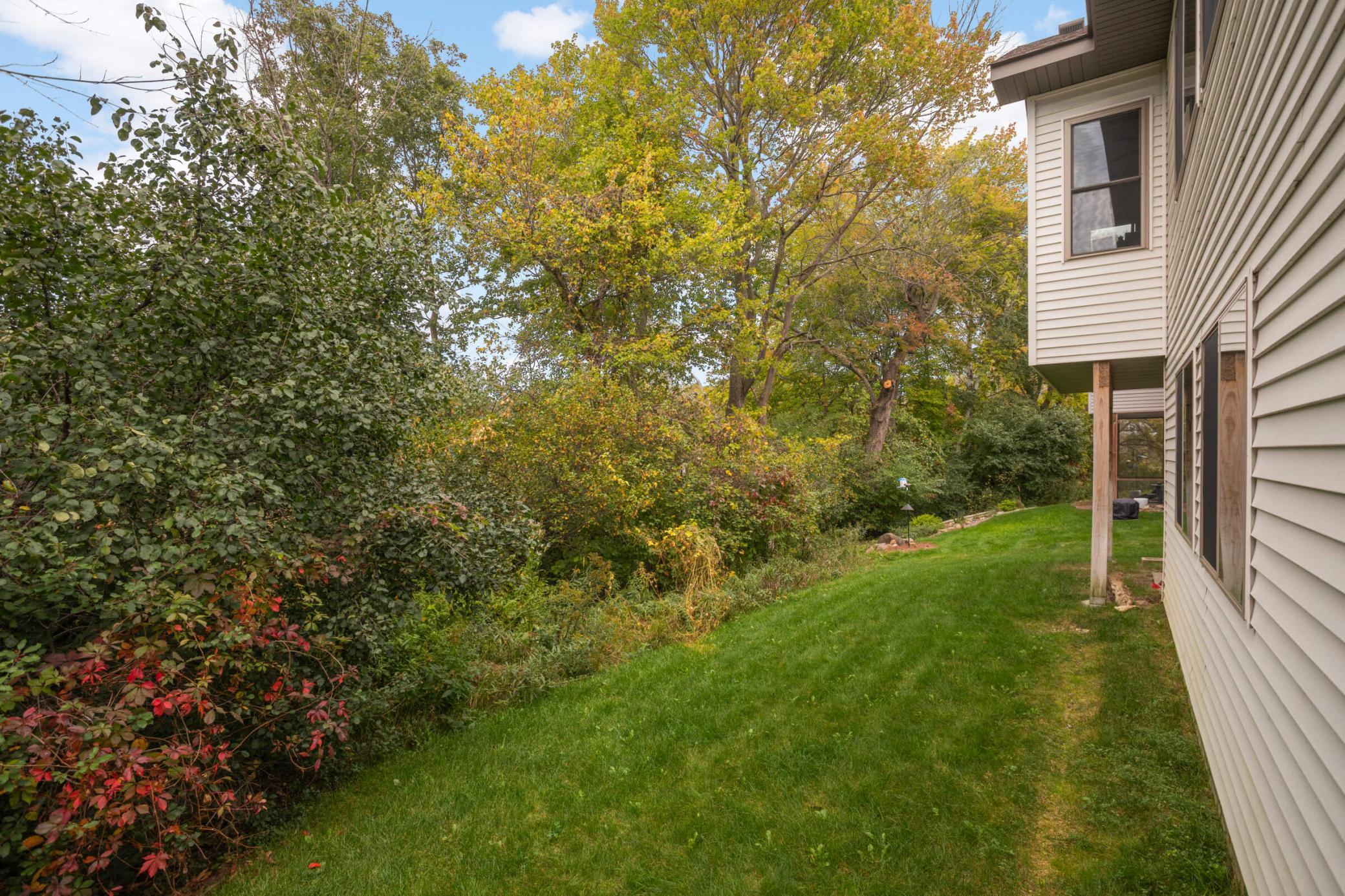 29412 Hidden Forest Boulevard