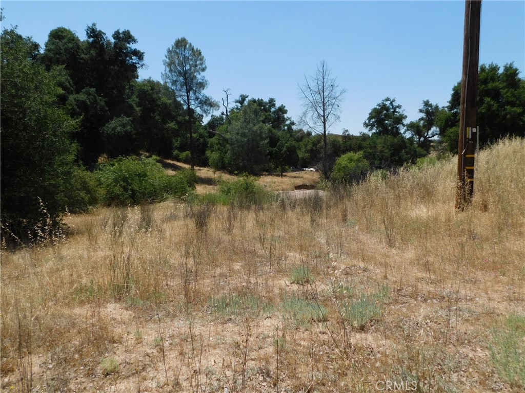 9789 Golden Pond Way
