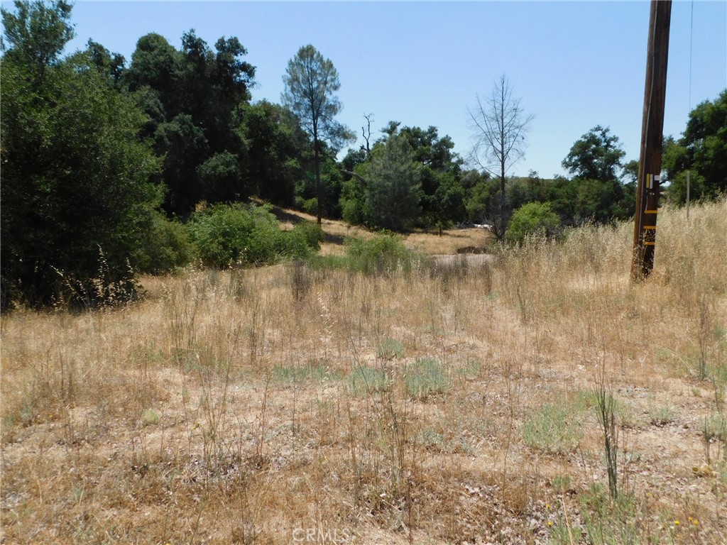 9789 Golden Pond Way