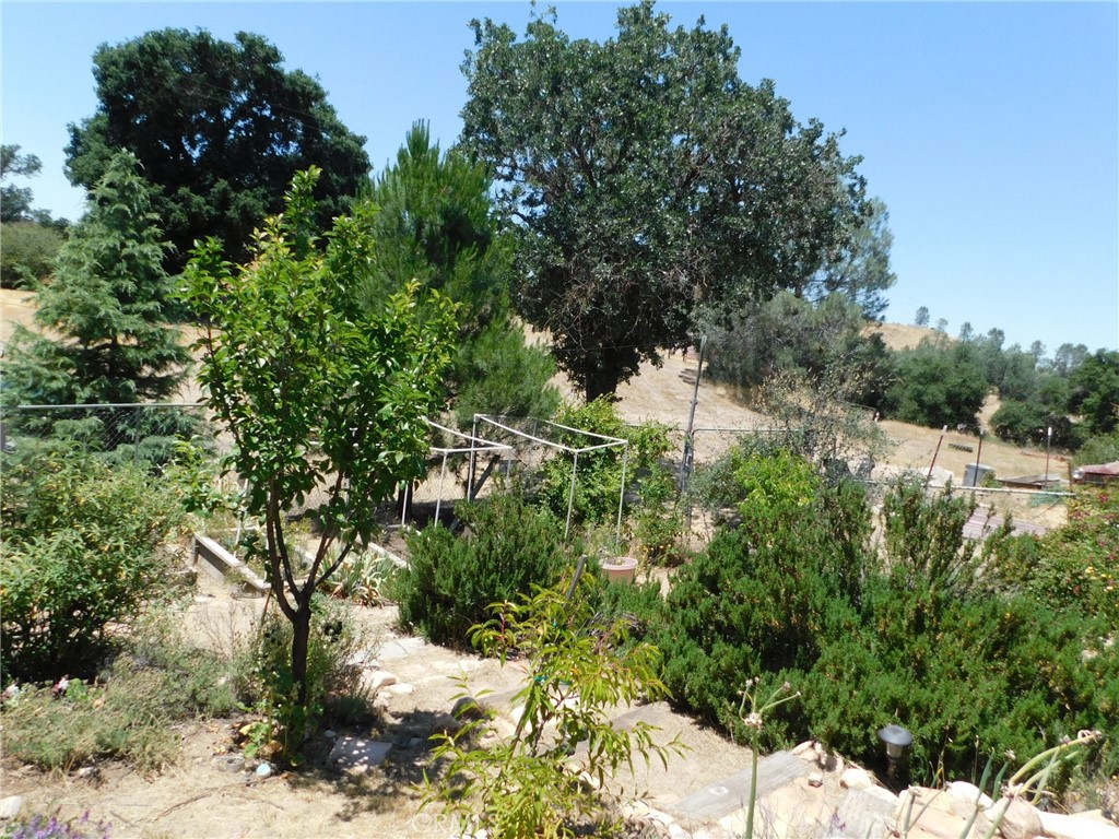 9789 Golden Pond Way