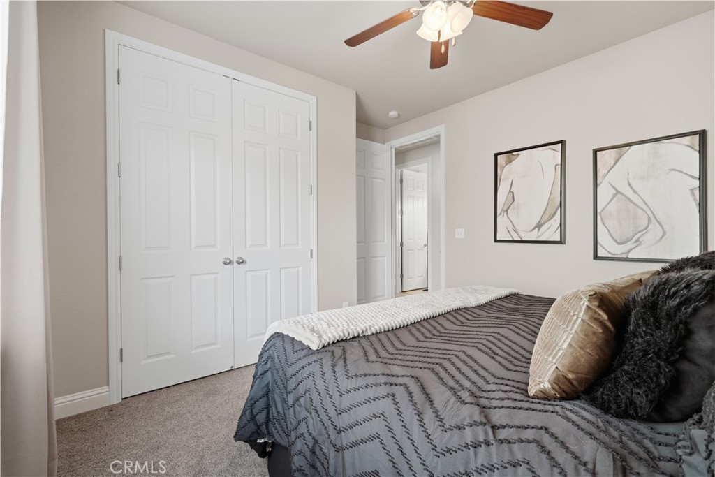 1162 Paradise Loop