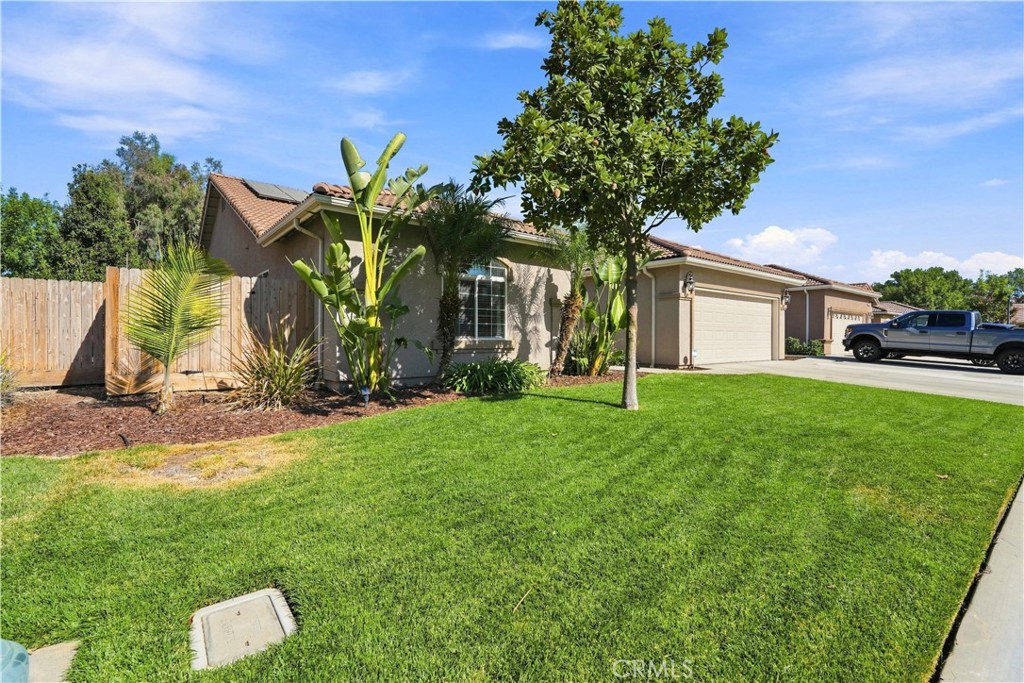 1162 Paradise Loop