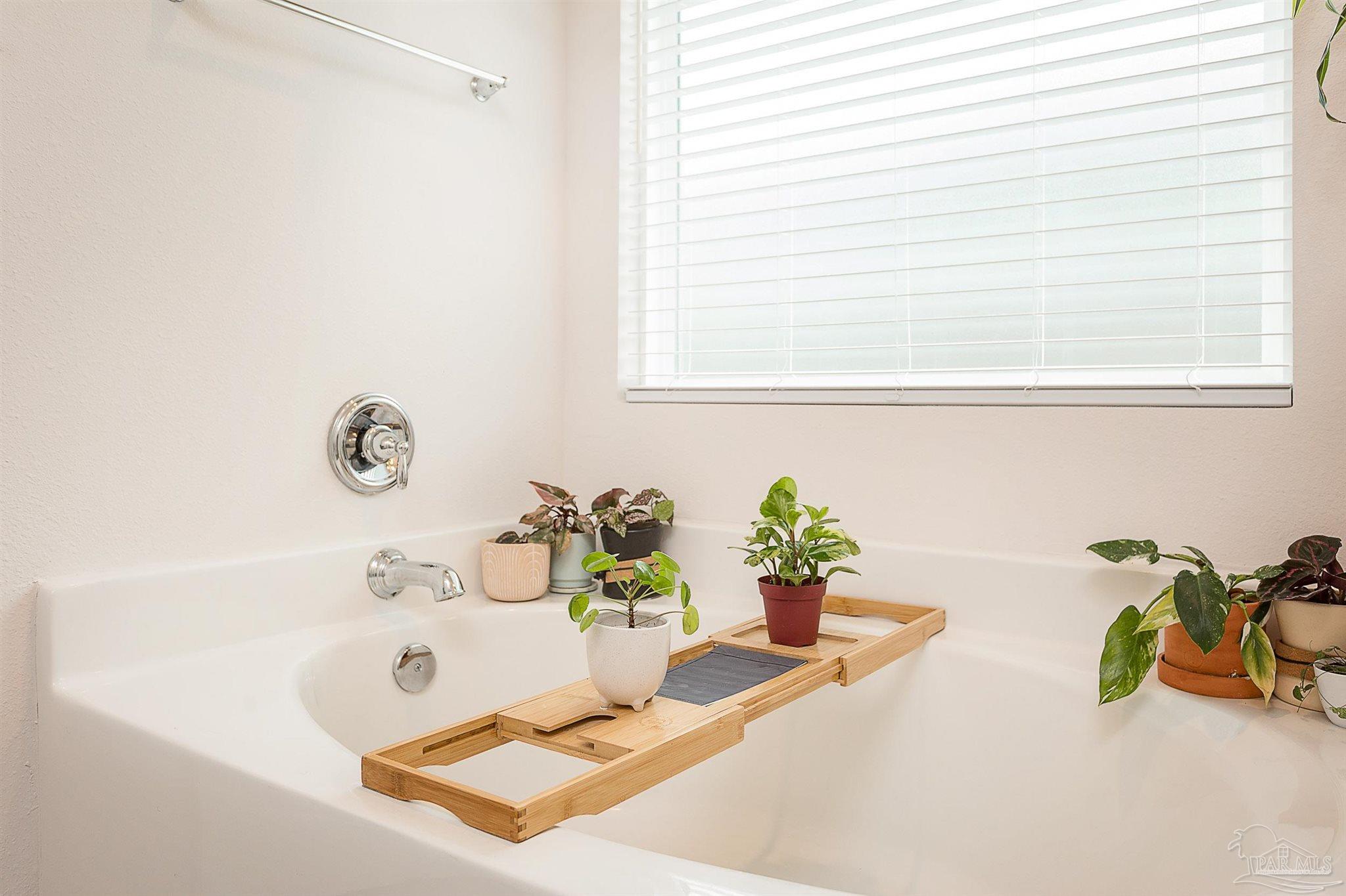 4478 Water Leaf Cv