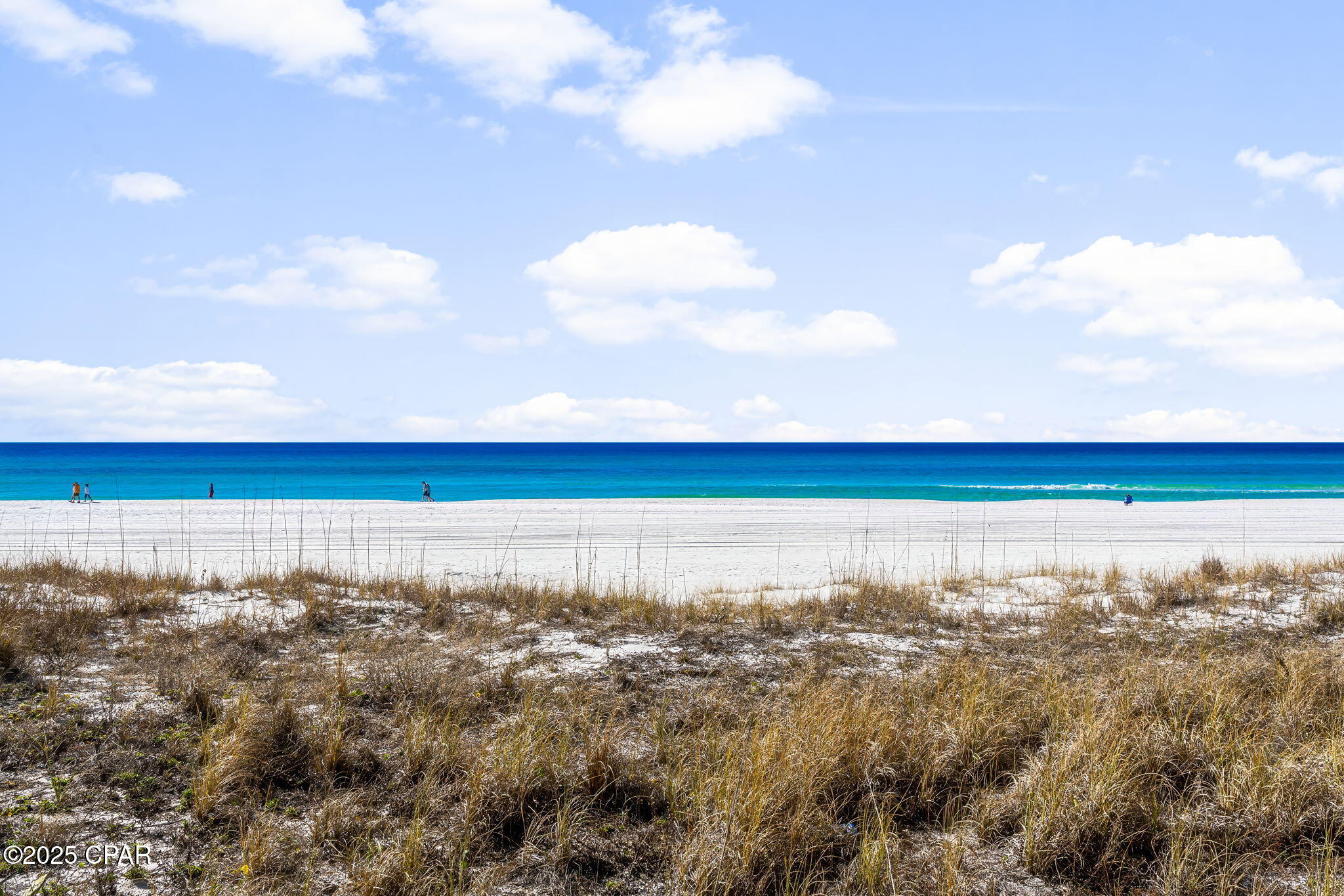 9850 S Thomas Drive 404E