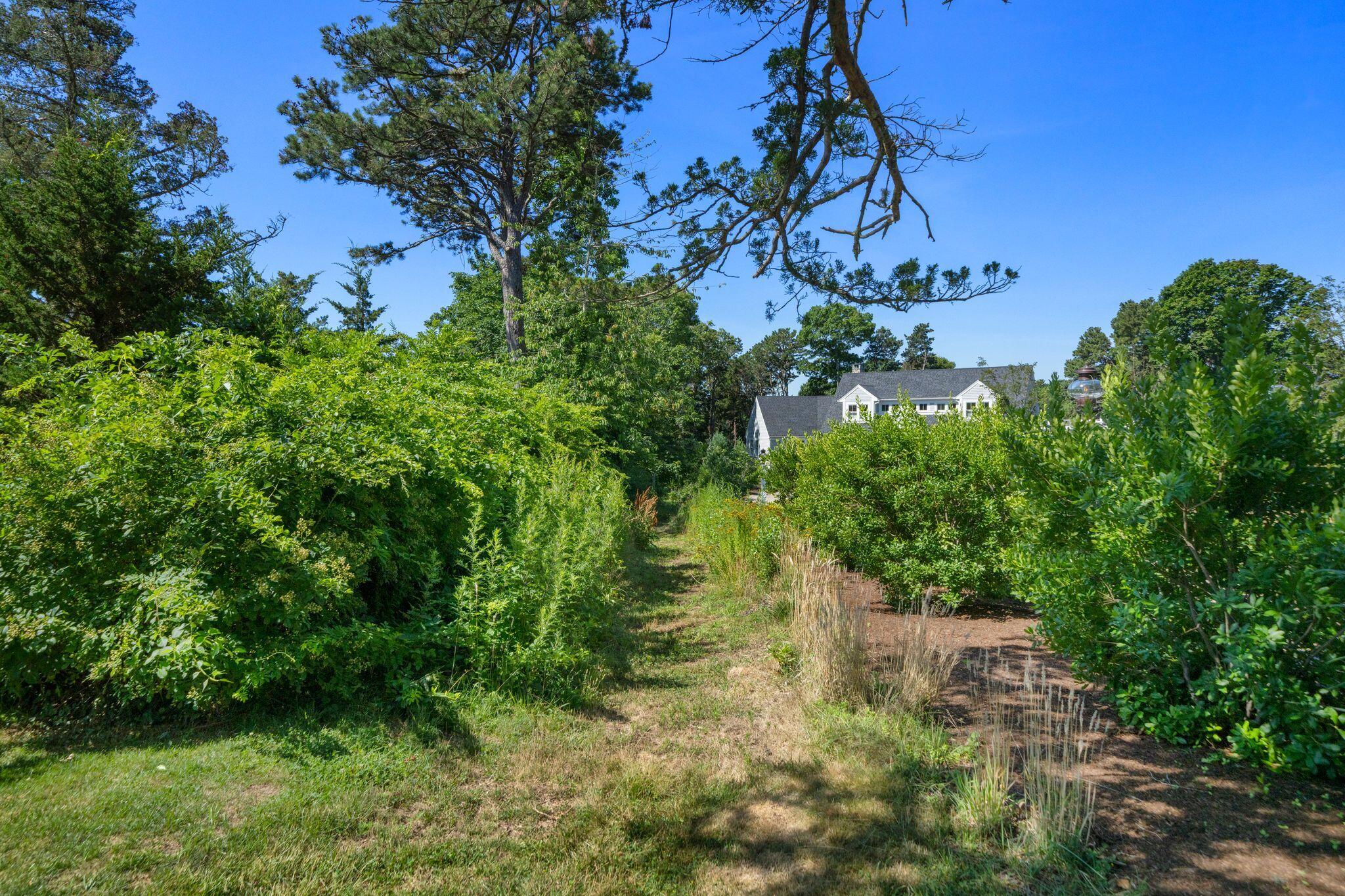 15 Hayward Lane