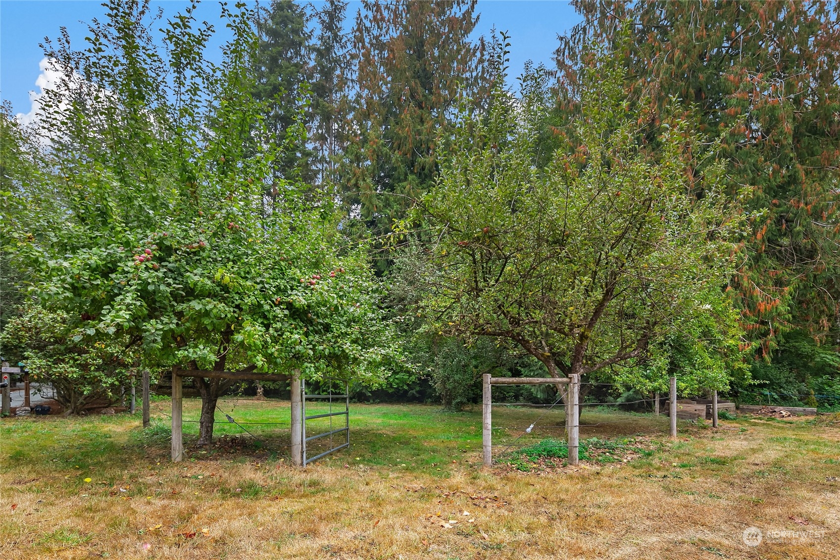 29333 SE 64th Street
