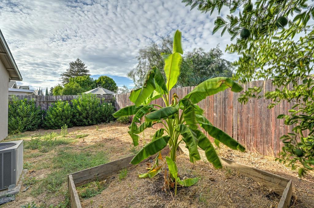 1287 Nadene Drive