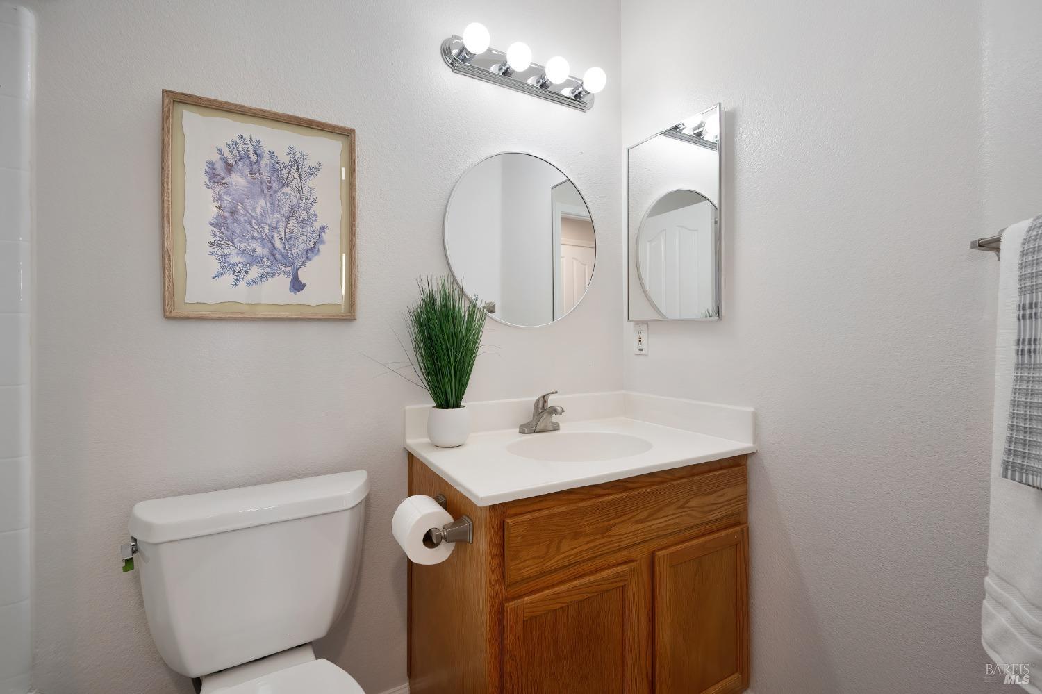 1233 Swan Lake Drive