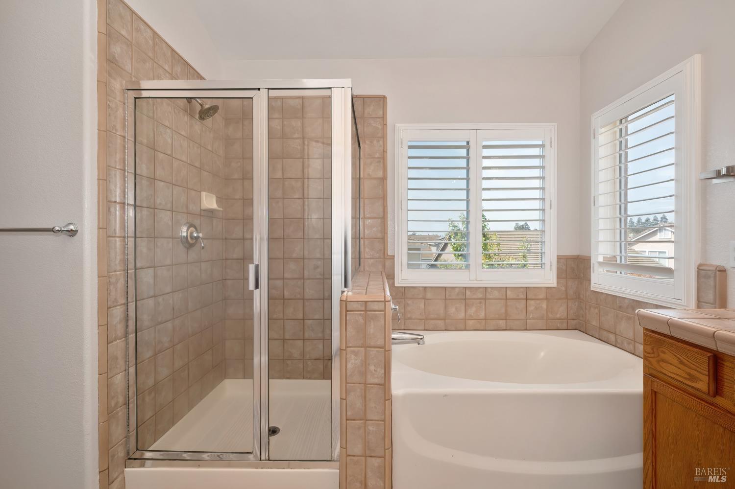 1233 Swan Lake Drive