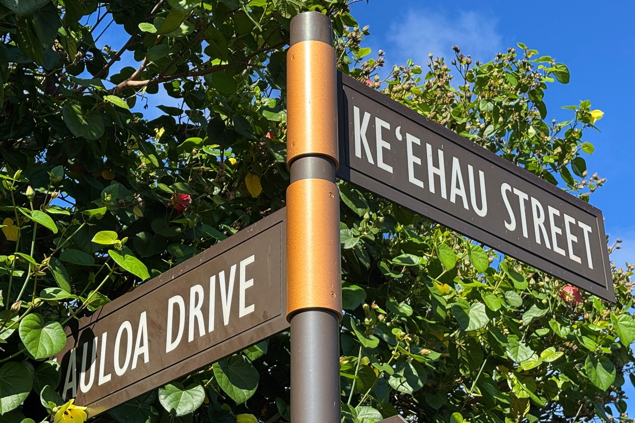 81-460 KEEHAU ST