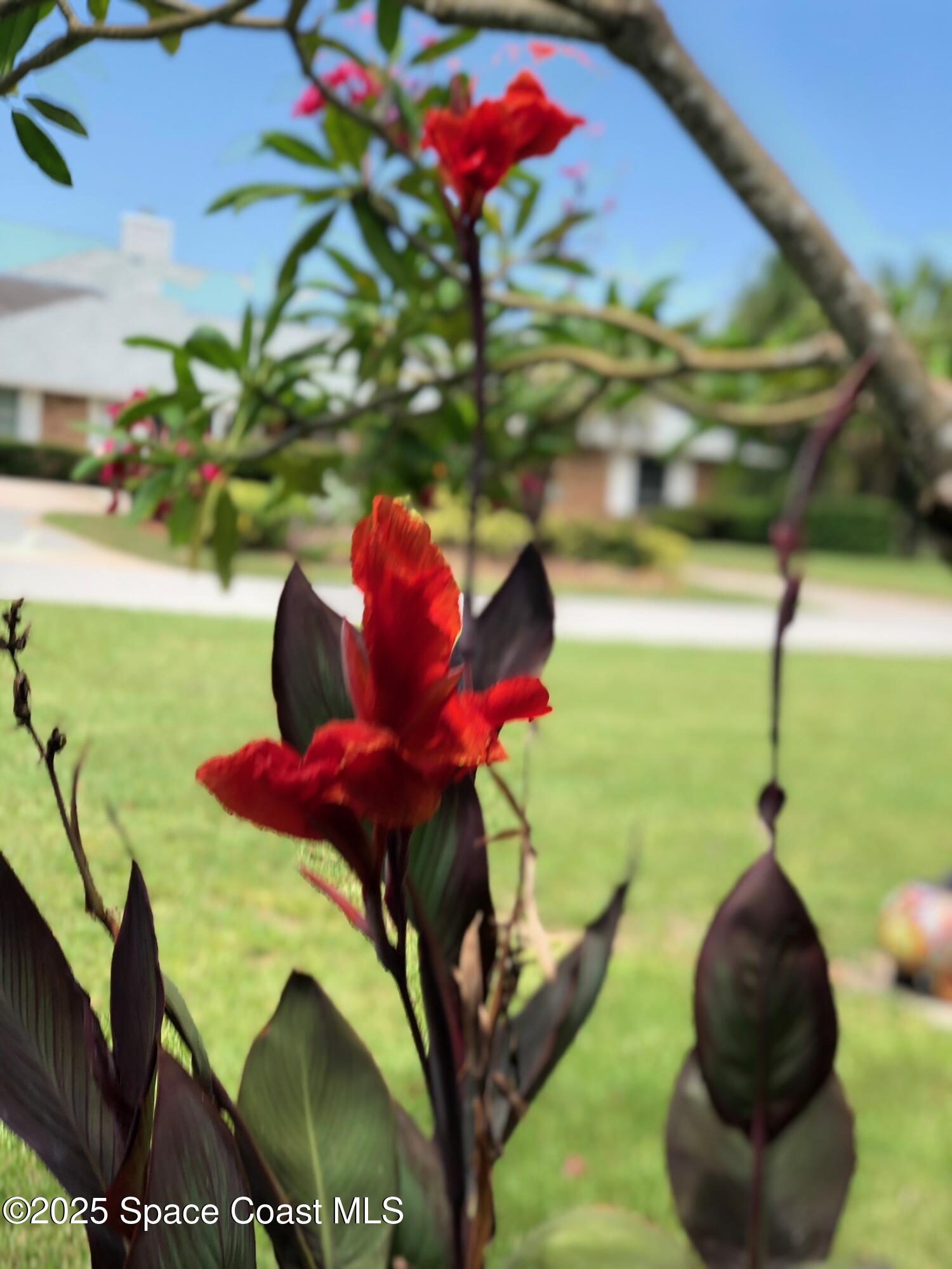 185 Sea Crest Drive