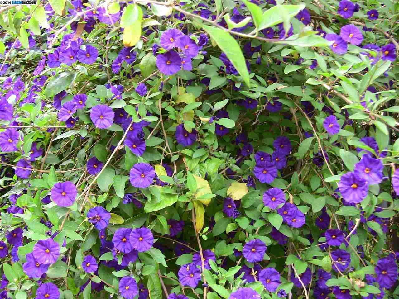 711 Old Canyon Road # 147