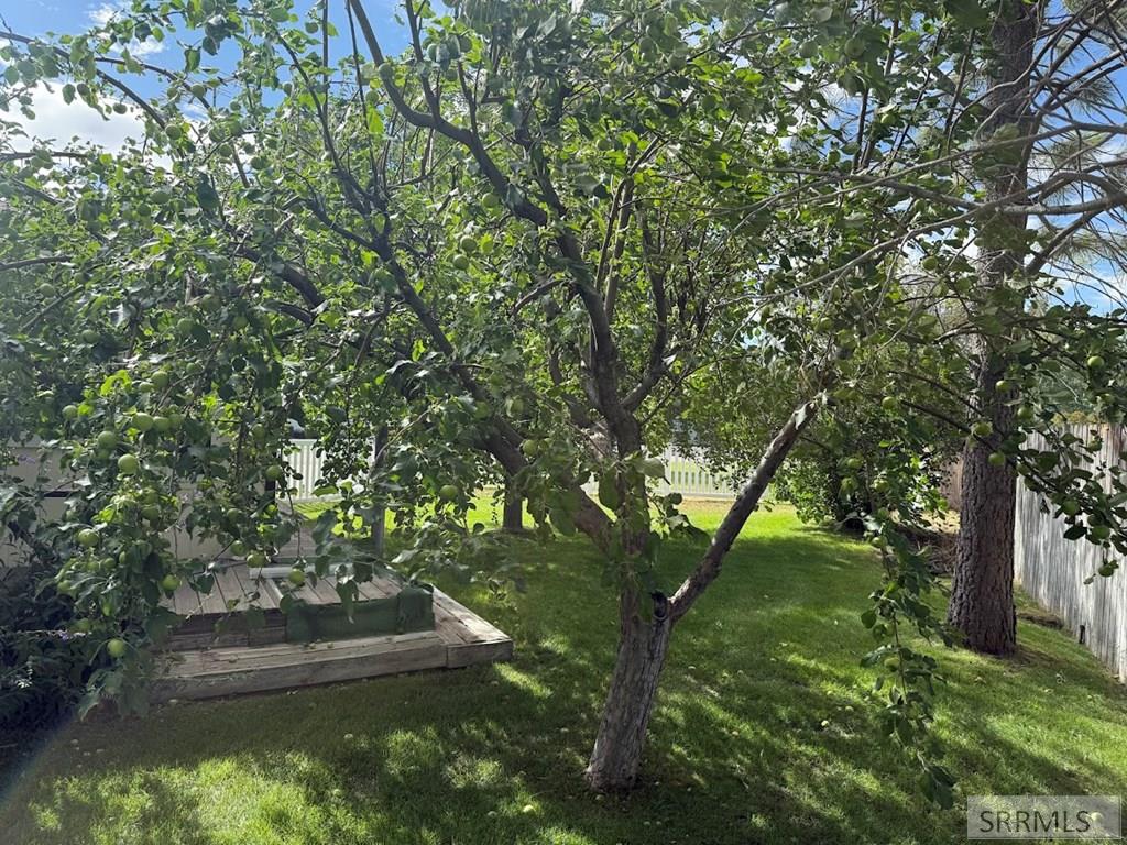 1076 Singletree Circle