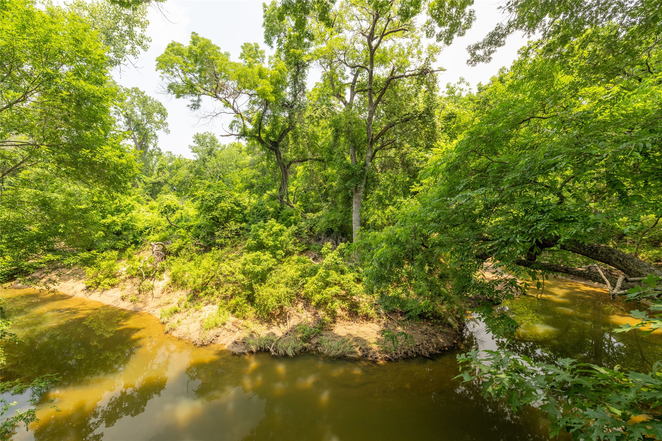 2701 Wooded Trail Court