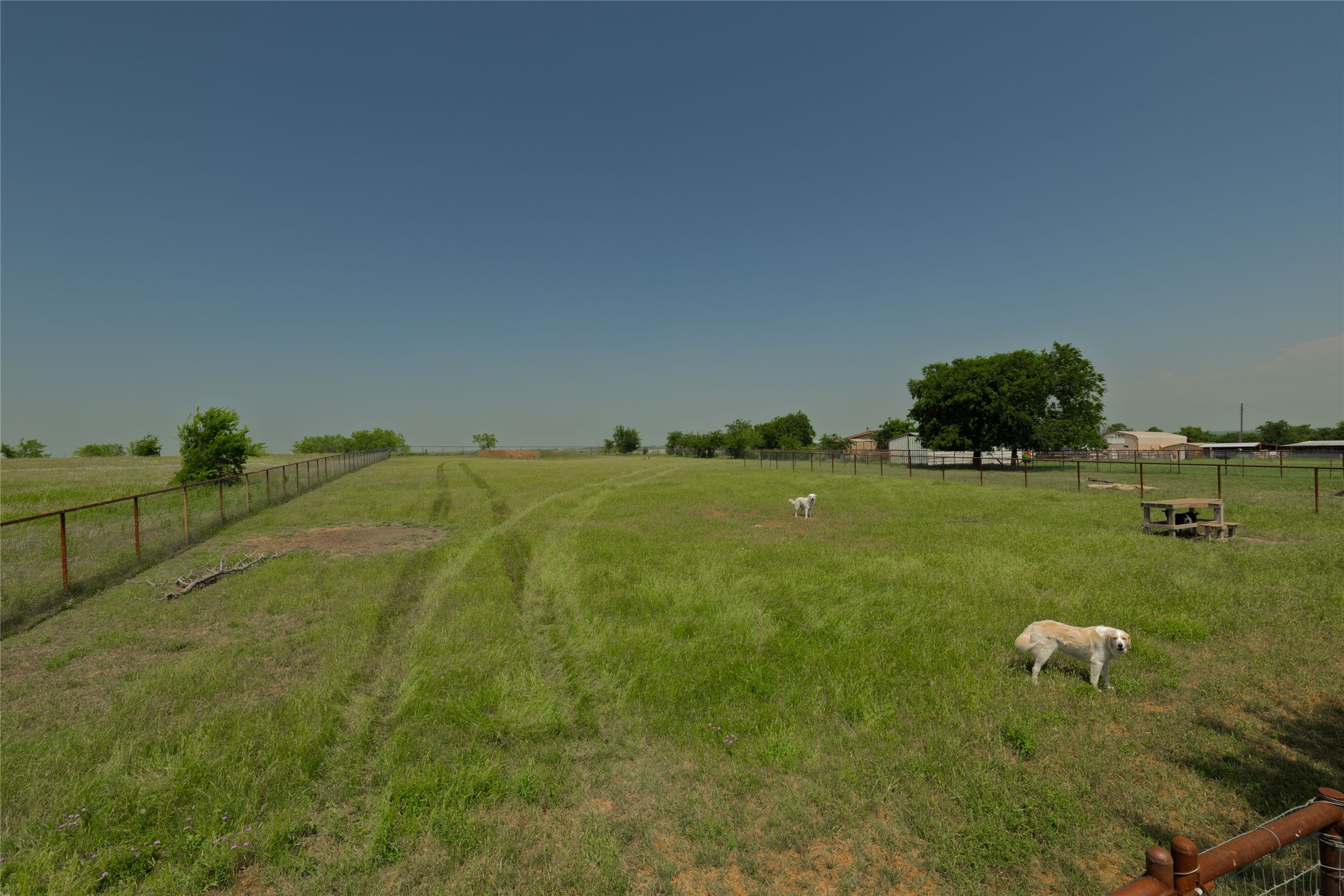 14447 Warbler Lane