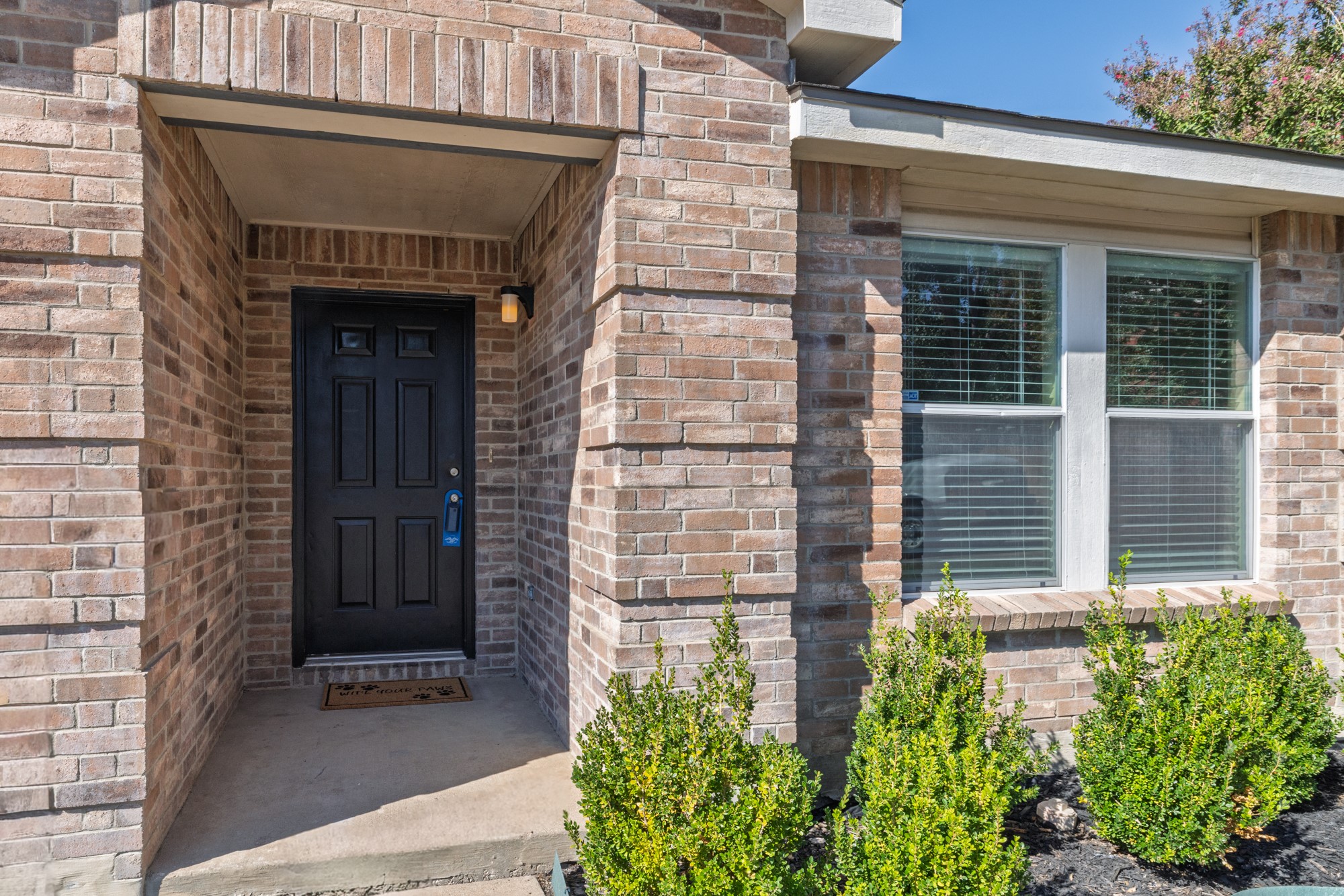 9217 Delano Court