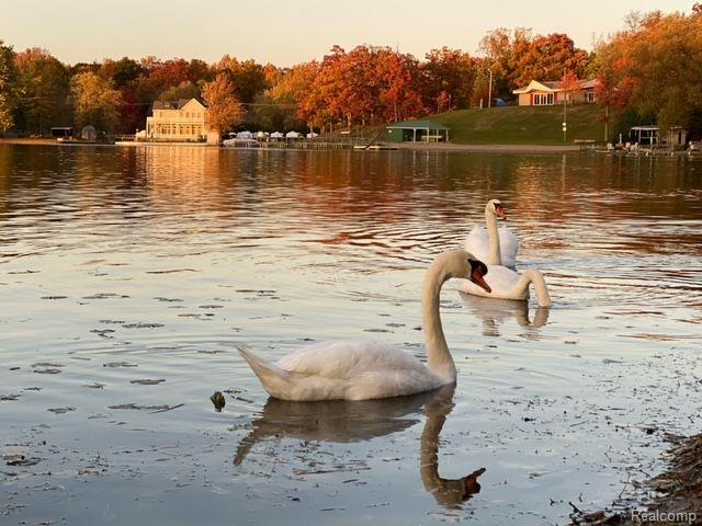 927 S LONG LAKE Boulevard