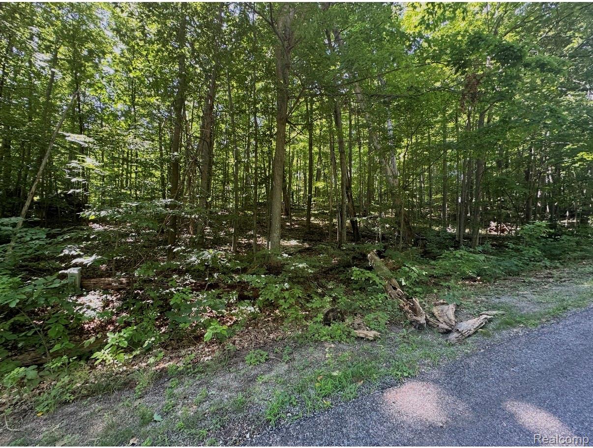 Lot 185 Forestgrove Court ForestGrove Road