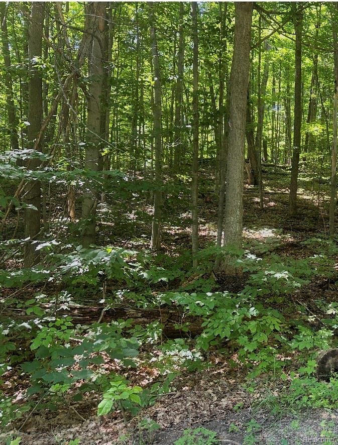 Lot 185 Forestgrove Court ForestGrove Road