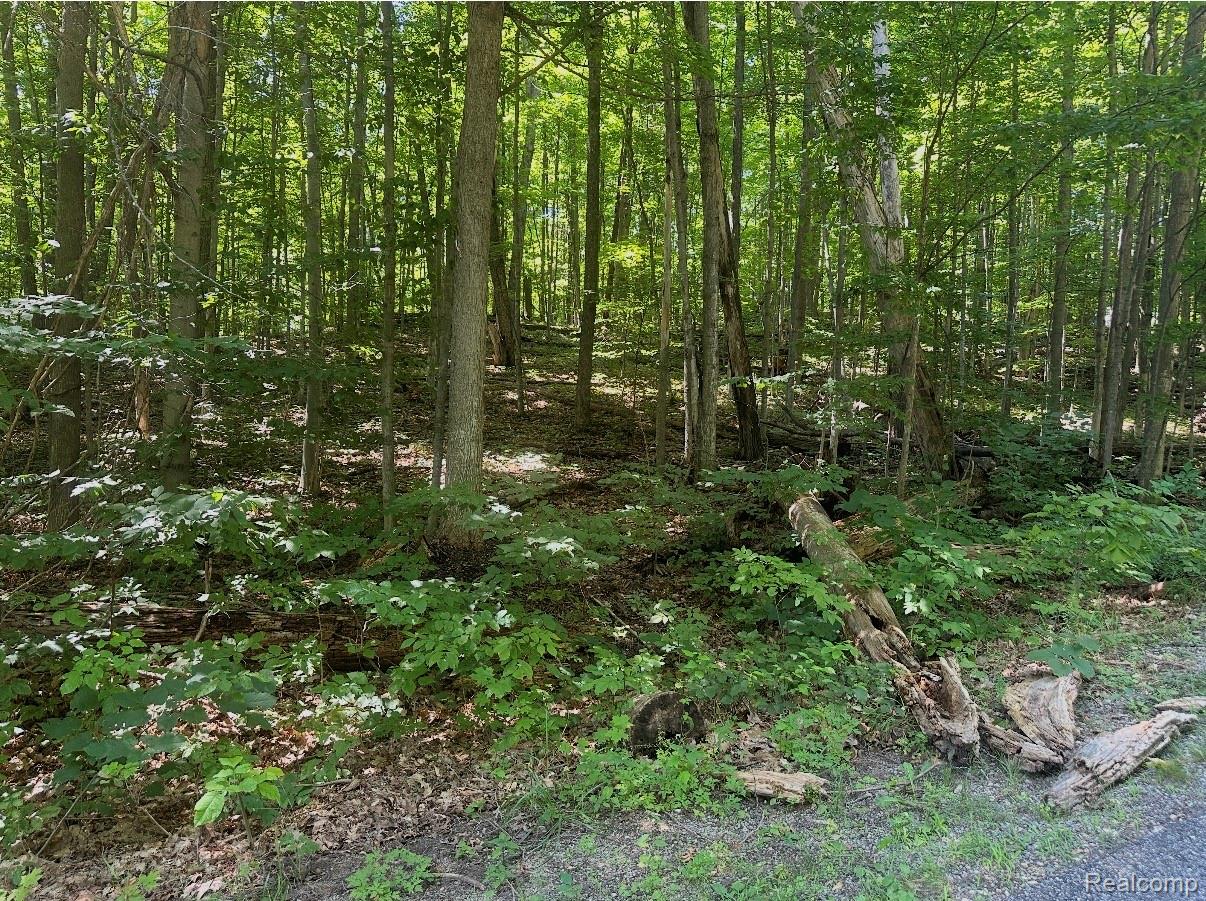 Lot 185 Forestgrove Court ForestGrove Road