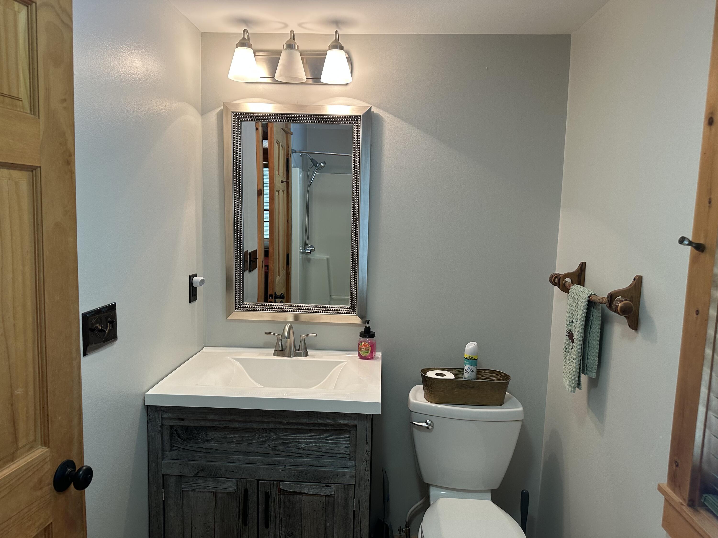 Bathroom with a dark rustic wood vanity, framed mirror, and toilet beside the sink.