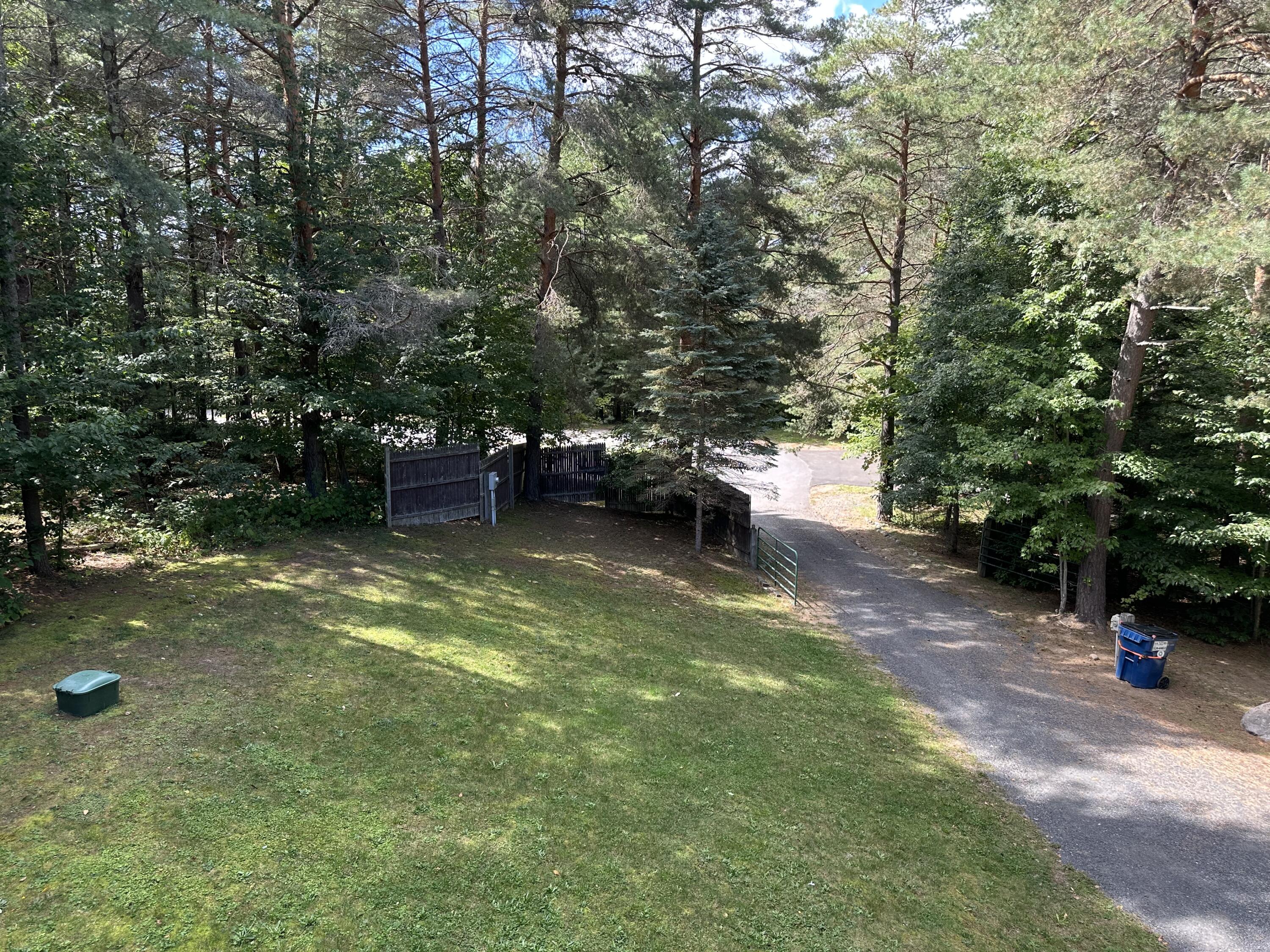 Wooded yard with a grassy lawn and gated driveway.
