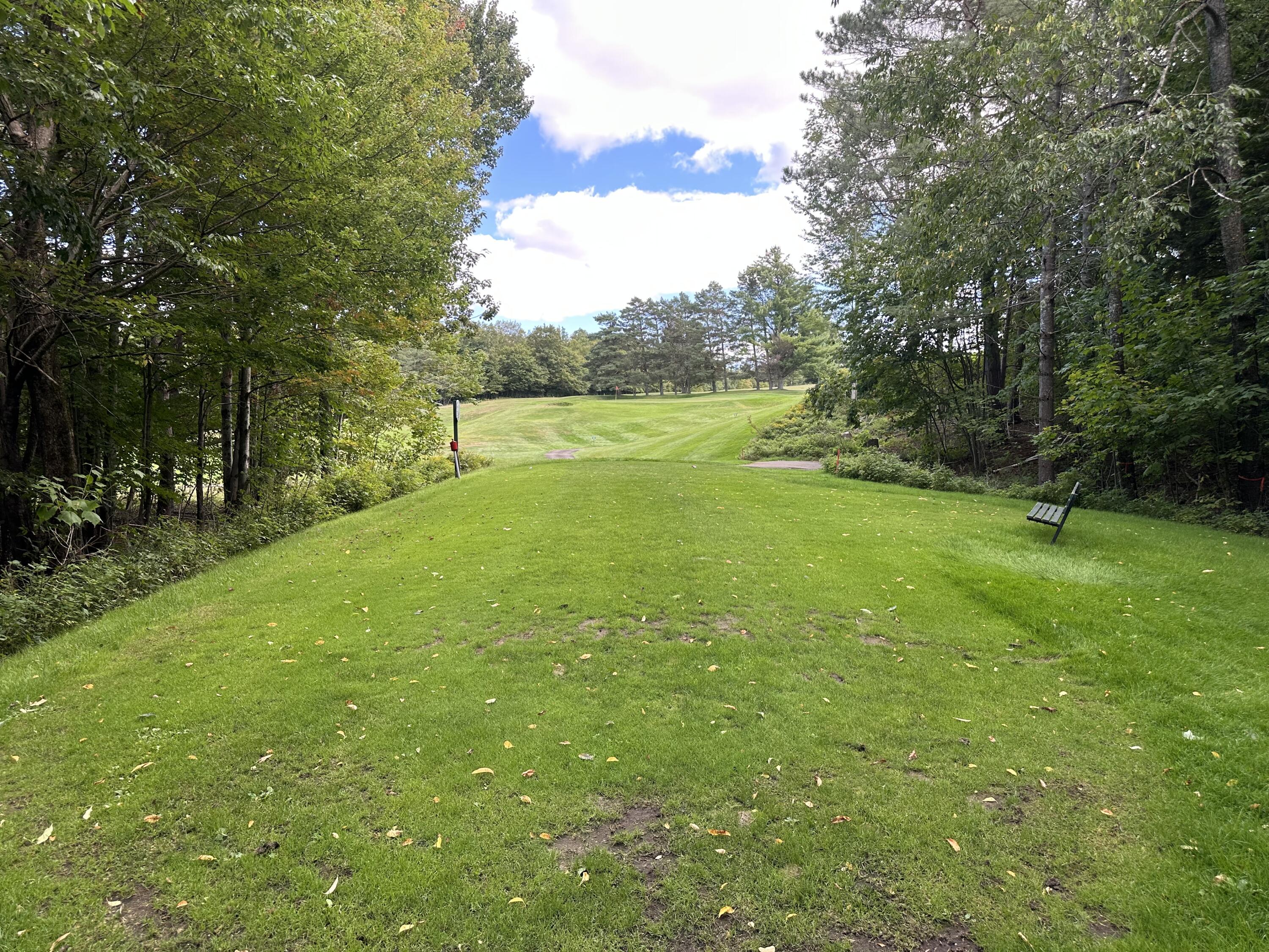 Golf course fairway bordered by trees, with a bench on the grassy slope.