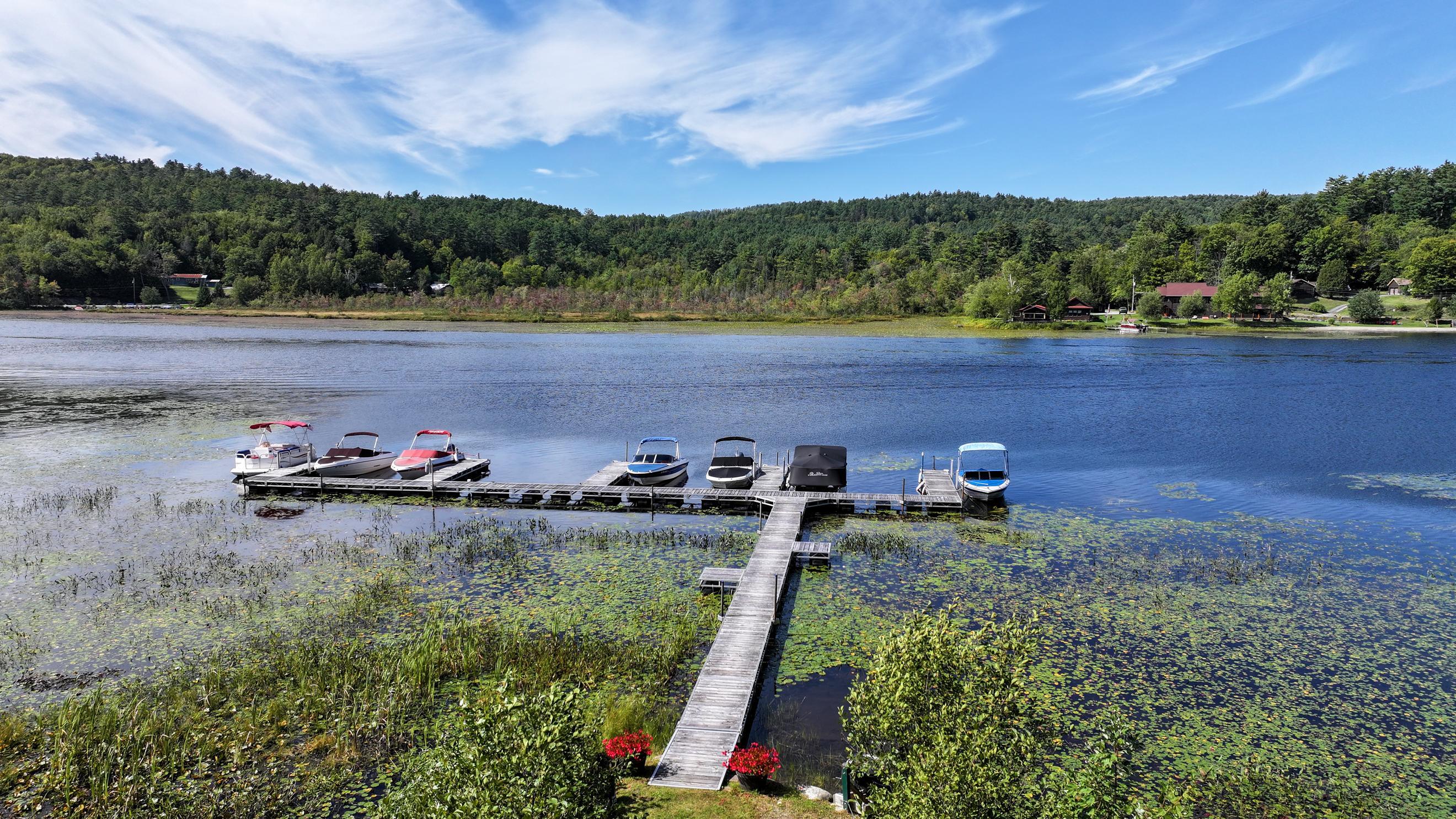 Lakefront dock extending into a lily-pad-covered lake, with boats moored along the pier.