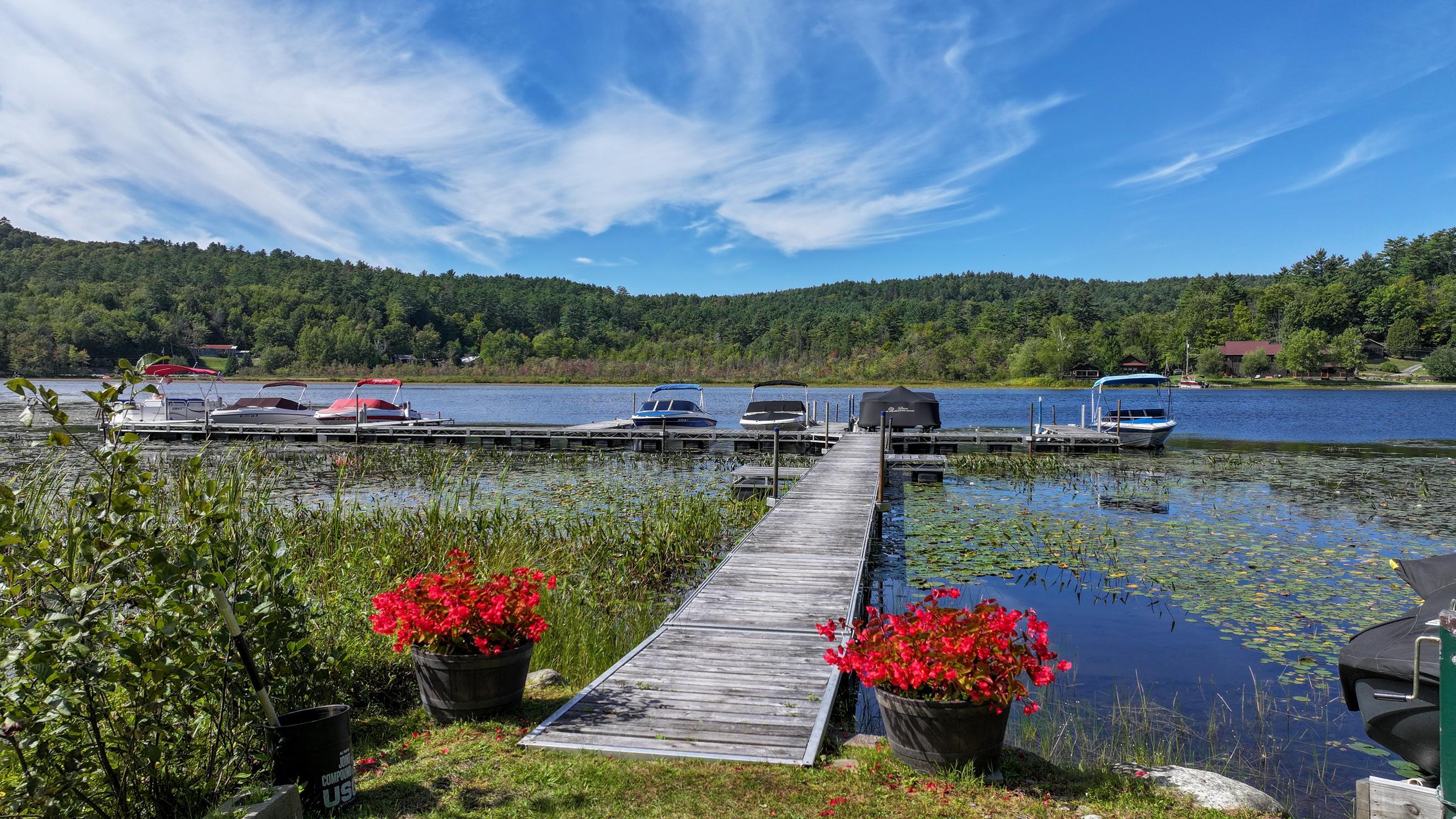 Wooden dock leads to moored boats on a lake, framed by flowering planters and forested hills.