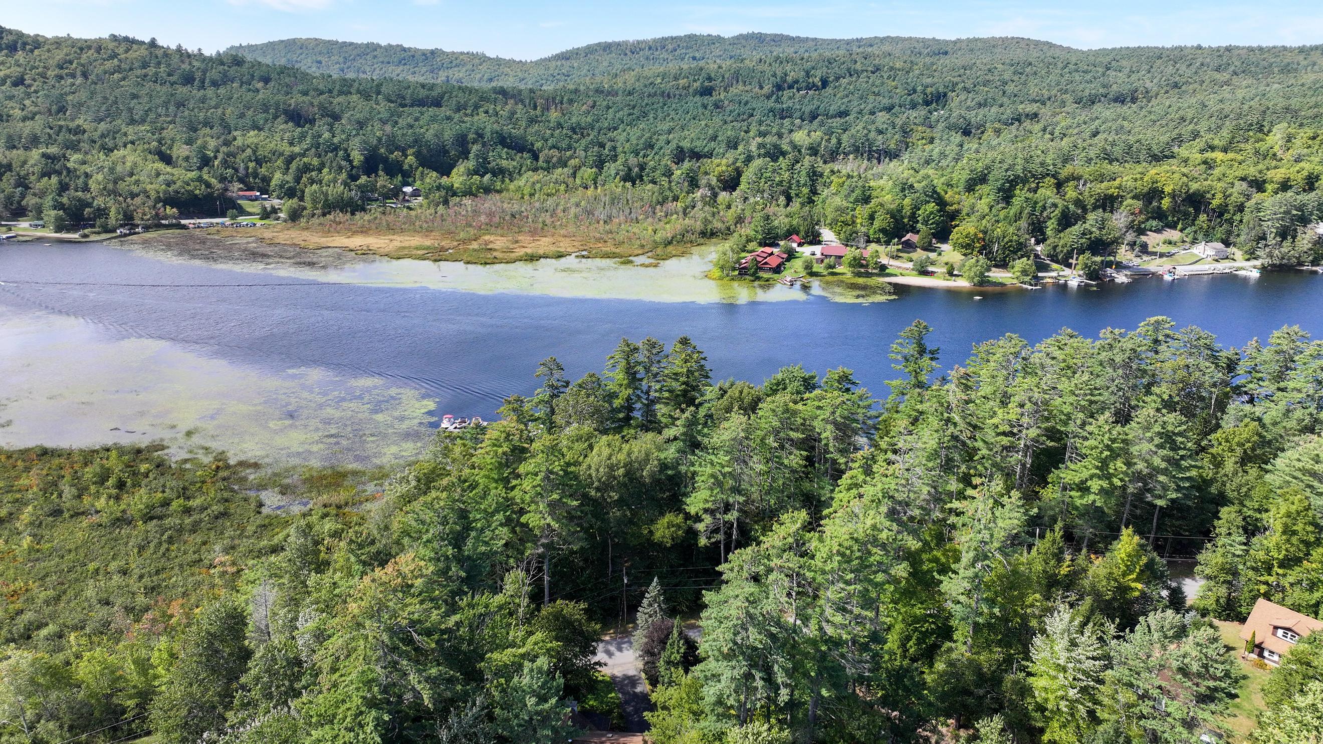 Aerial lake view with wooded hills, shoreline homes, and forest in the foreground.