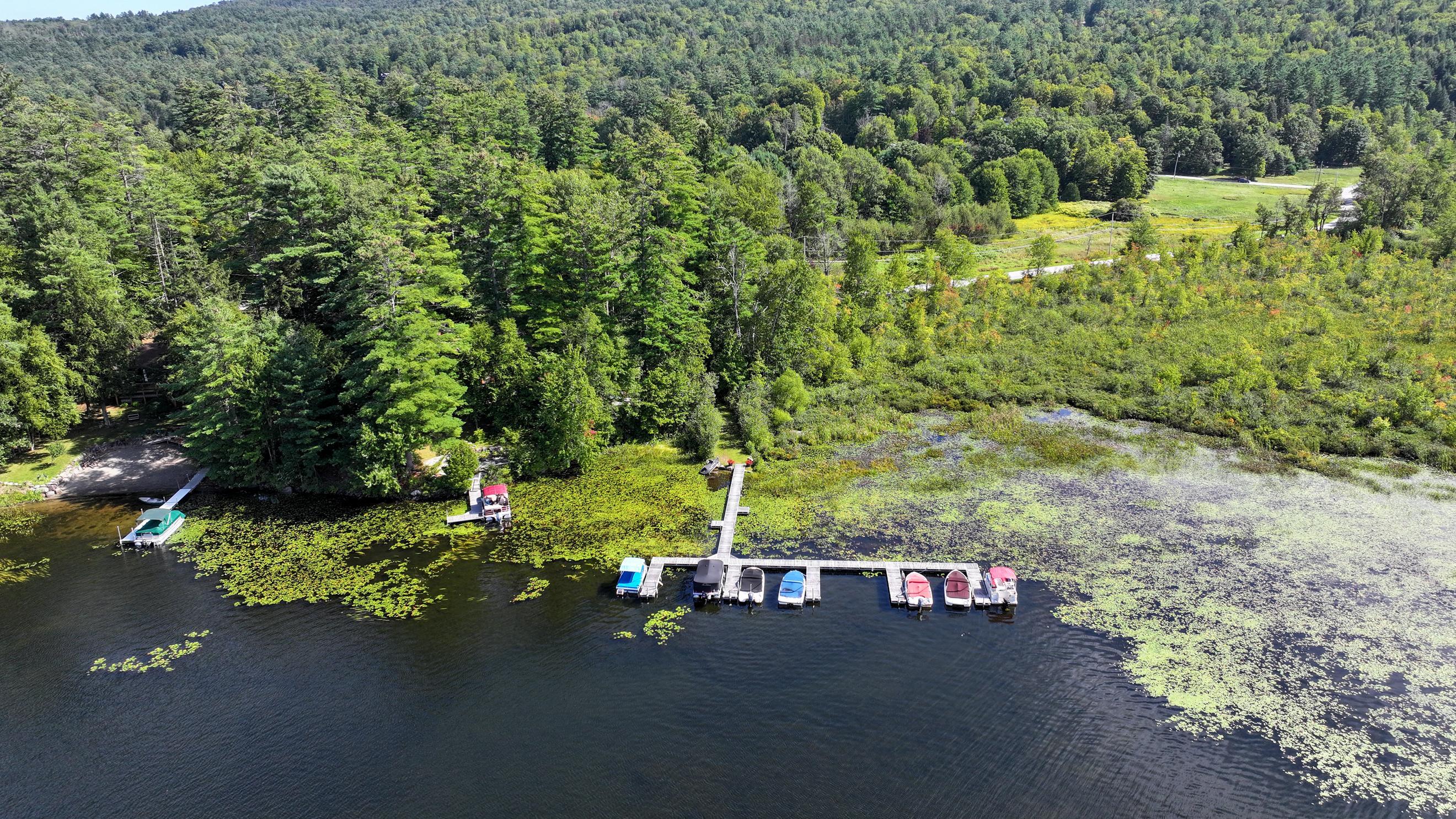 Aerial view of a wooded lakeshore with docks, boats, and lily pads.