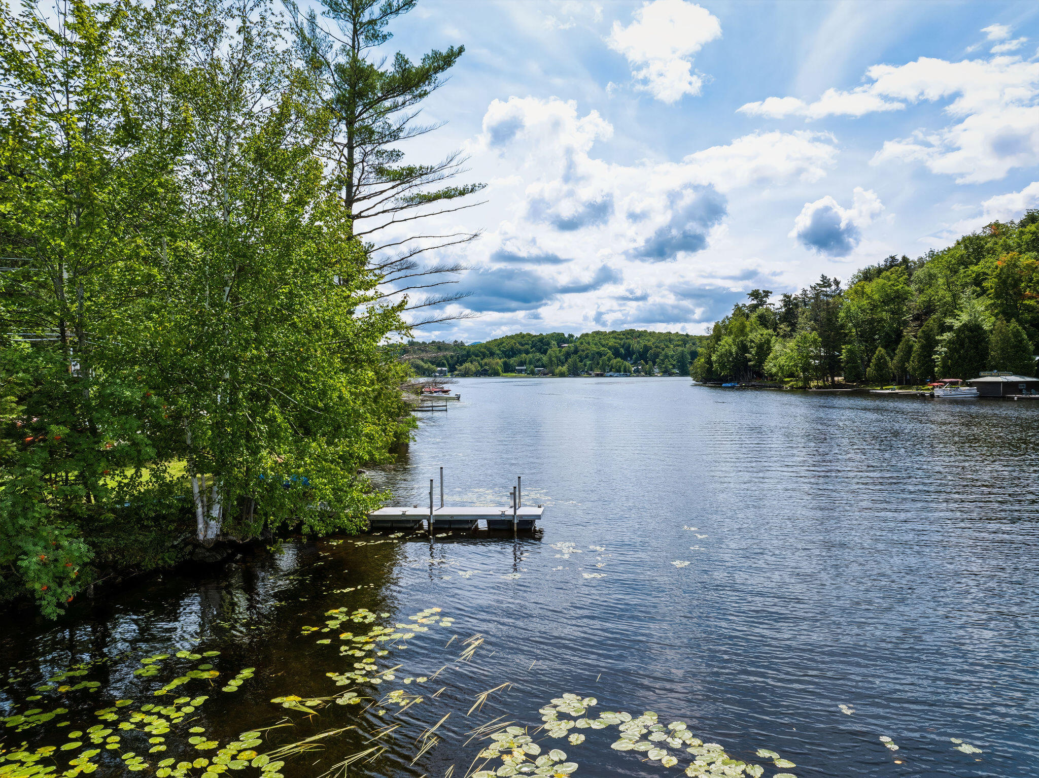 Lakefront view with a small dock, lily pads, and a wooded shoreline.