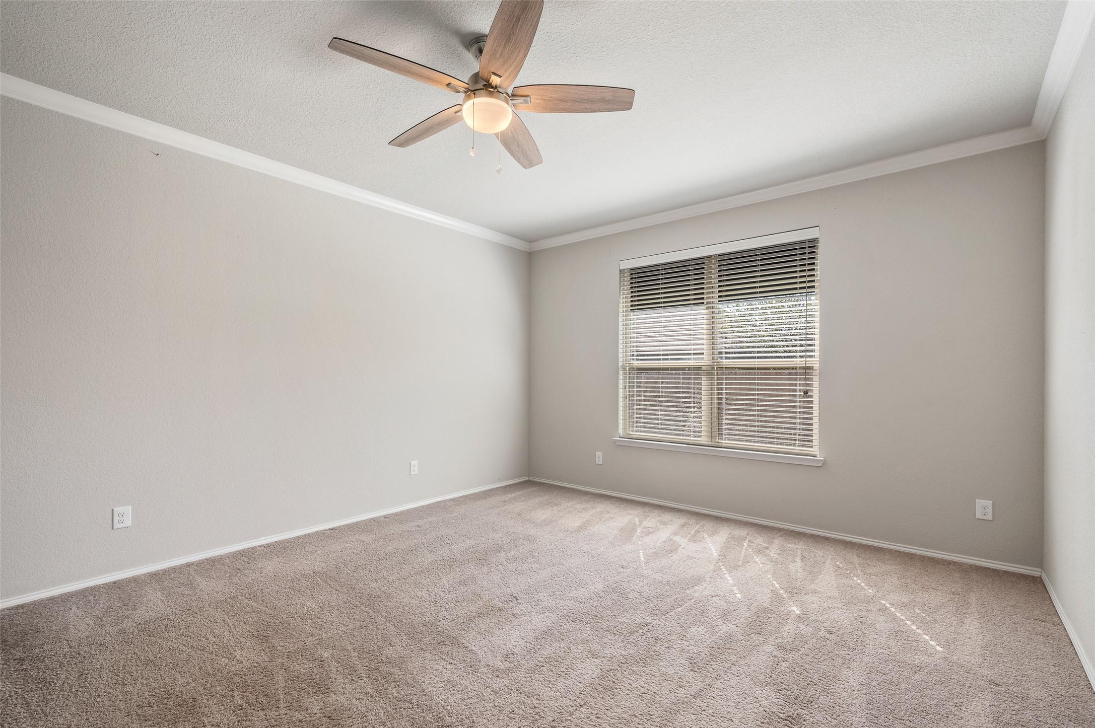 3716 Fossil Tree Lane