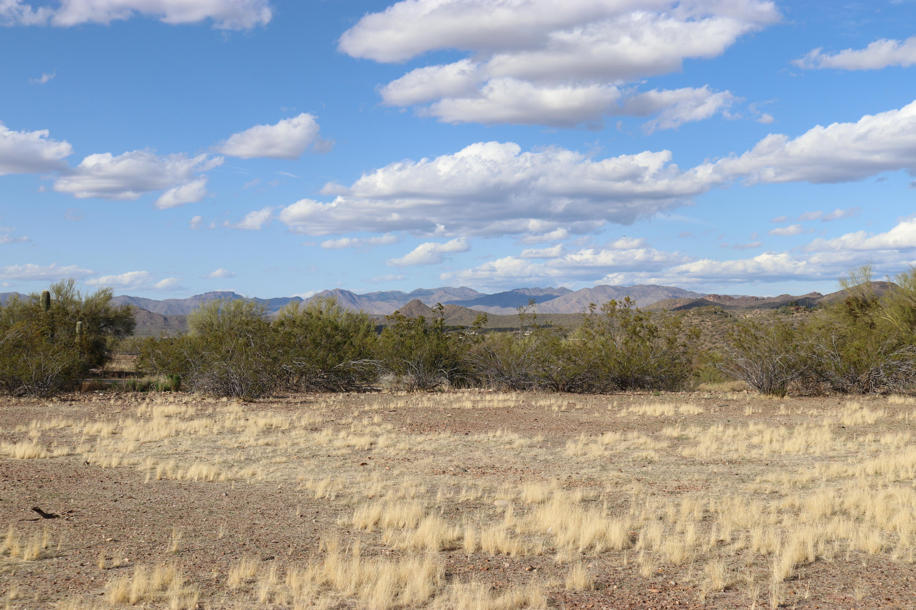 785 E Monte Vista Trail 4