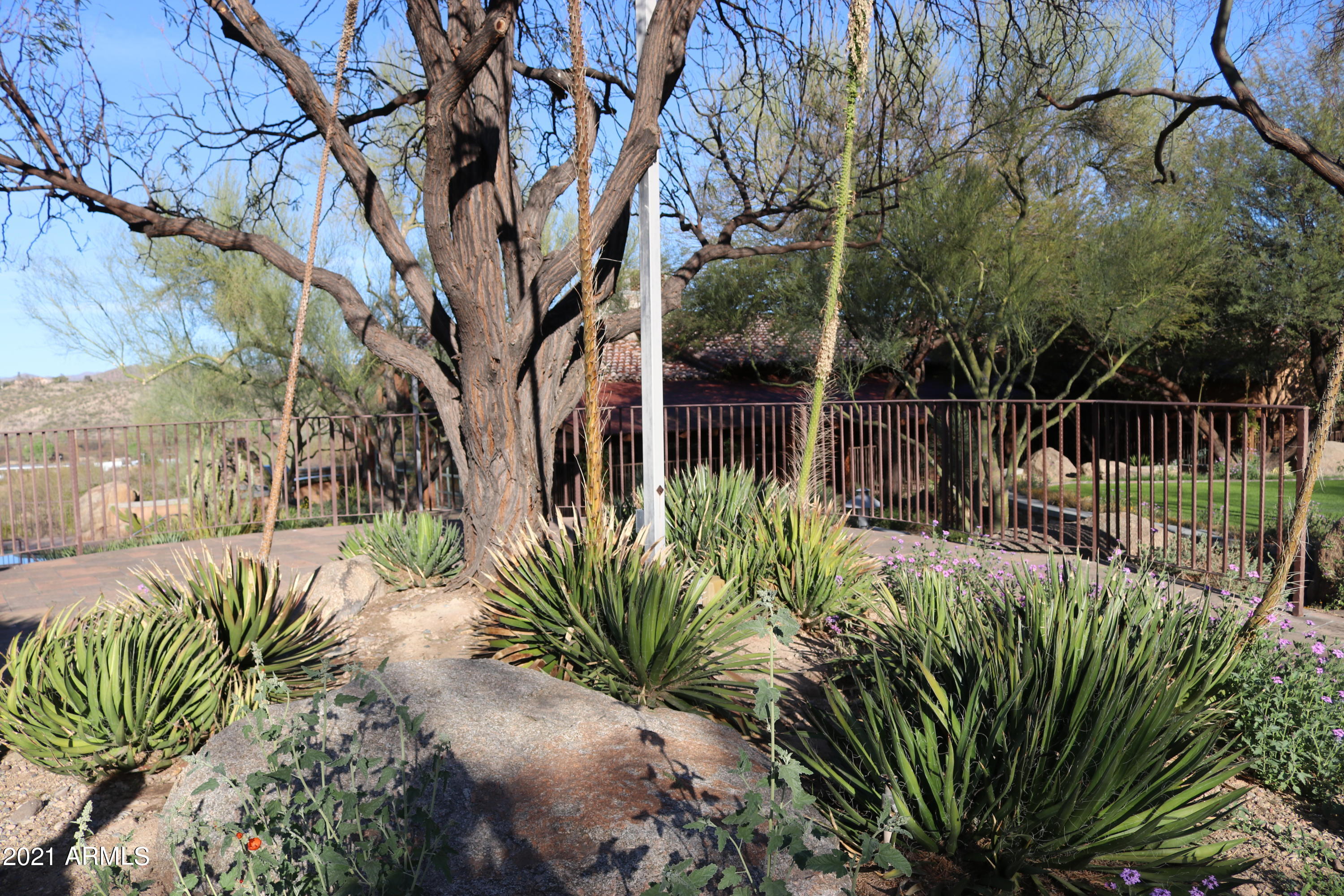 785 E Monte Vista Trail 4