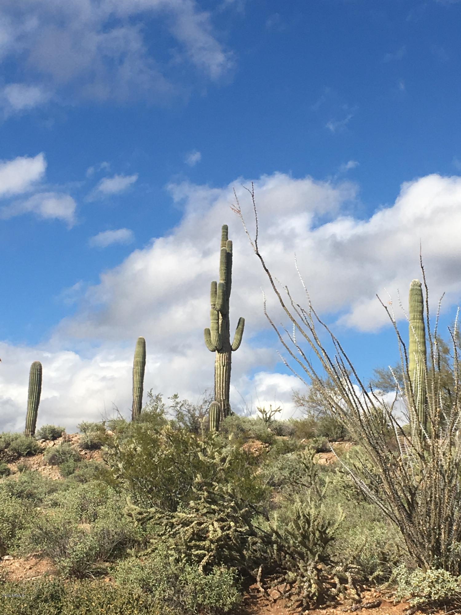 86.346 AC. STONEHEDGE RANCH Road 6