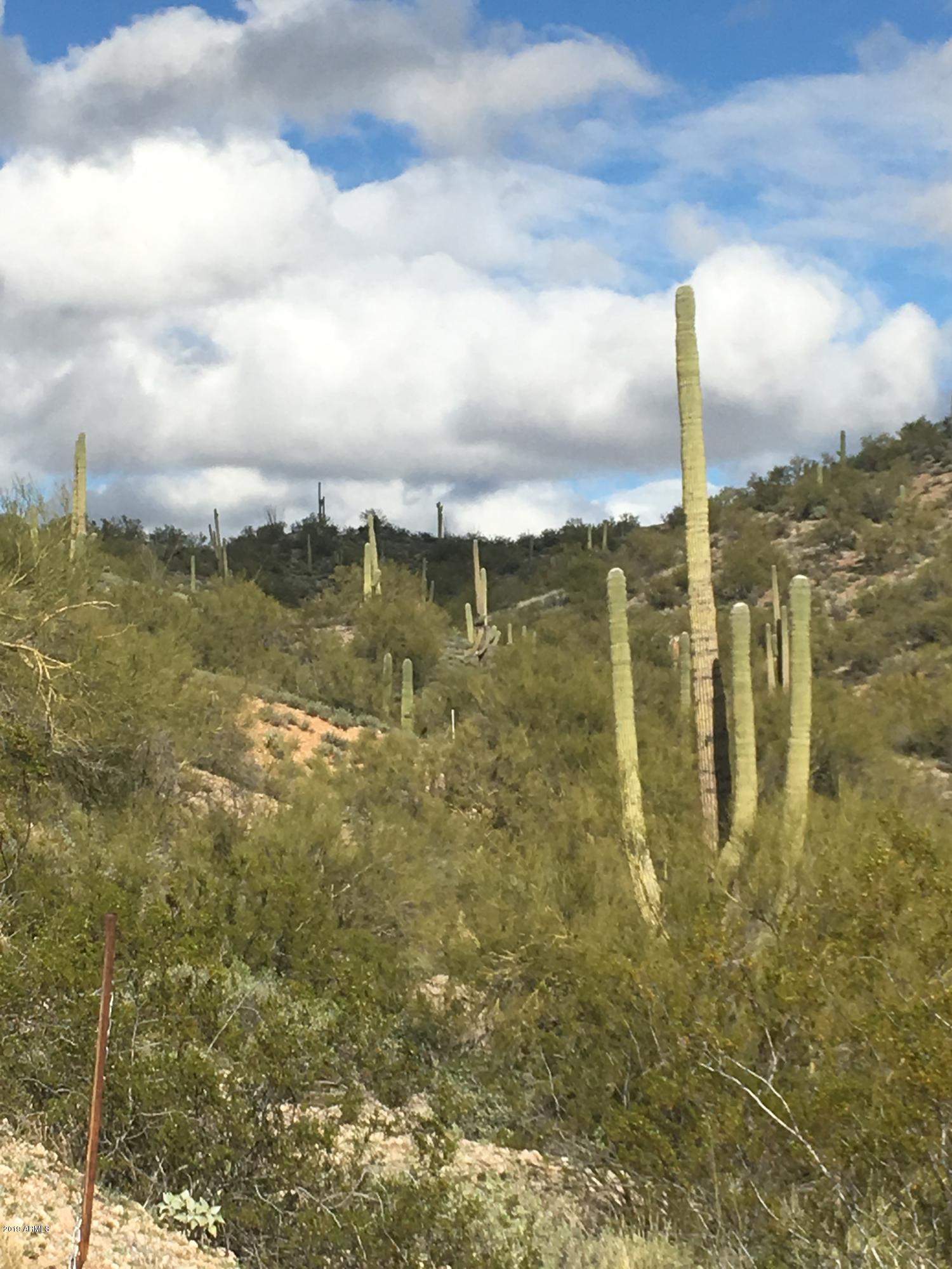 86.346 AC. STONEHEDGE RANCH Road 6