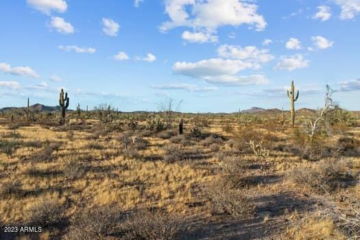 40 AC S OFF OF VULTURE MINE & 367TH Avenue S, 00