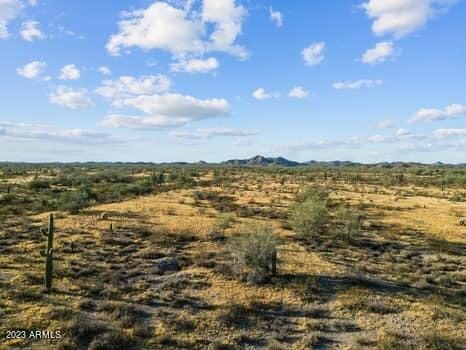 40 AC S OFF OF VULTURE MINE & 367TH Avenue S, 00
