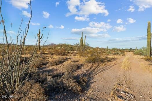 40 AC S OFF OF VULTURE MINE & 367TH Avenue S, 00