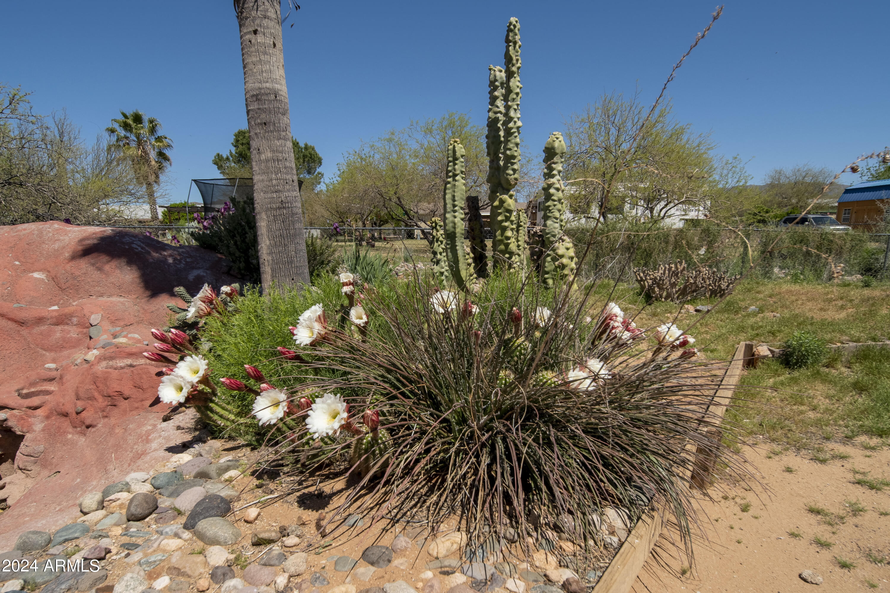 23152 W STAGHORN Lane