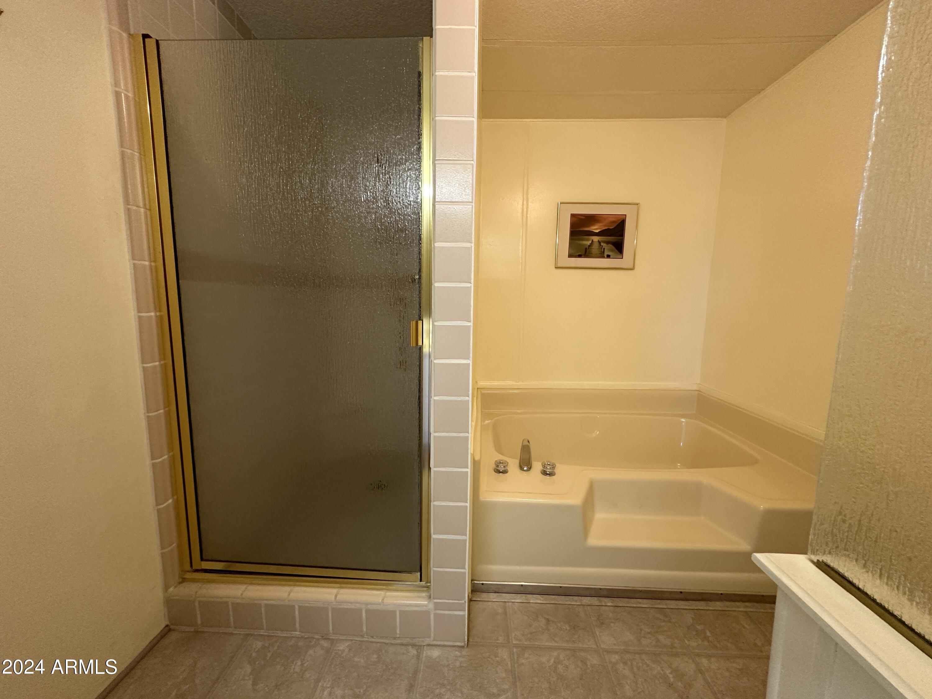 2124 W SMOKETREE Drive