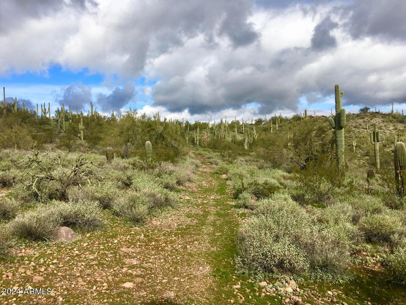 3353 W ROUGHRIDER 5 AC Road, -