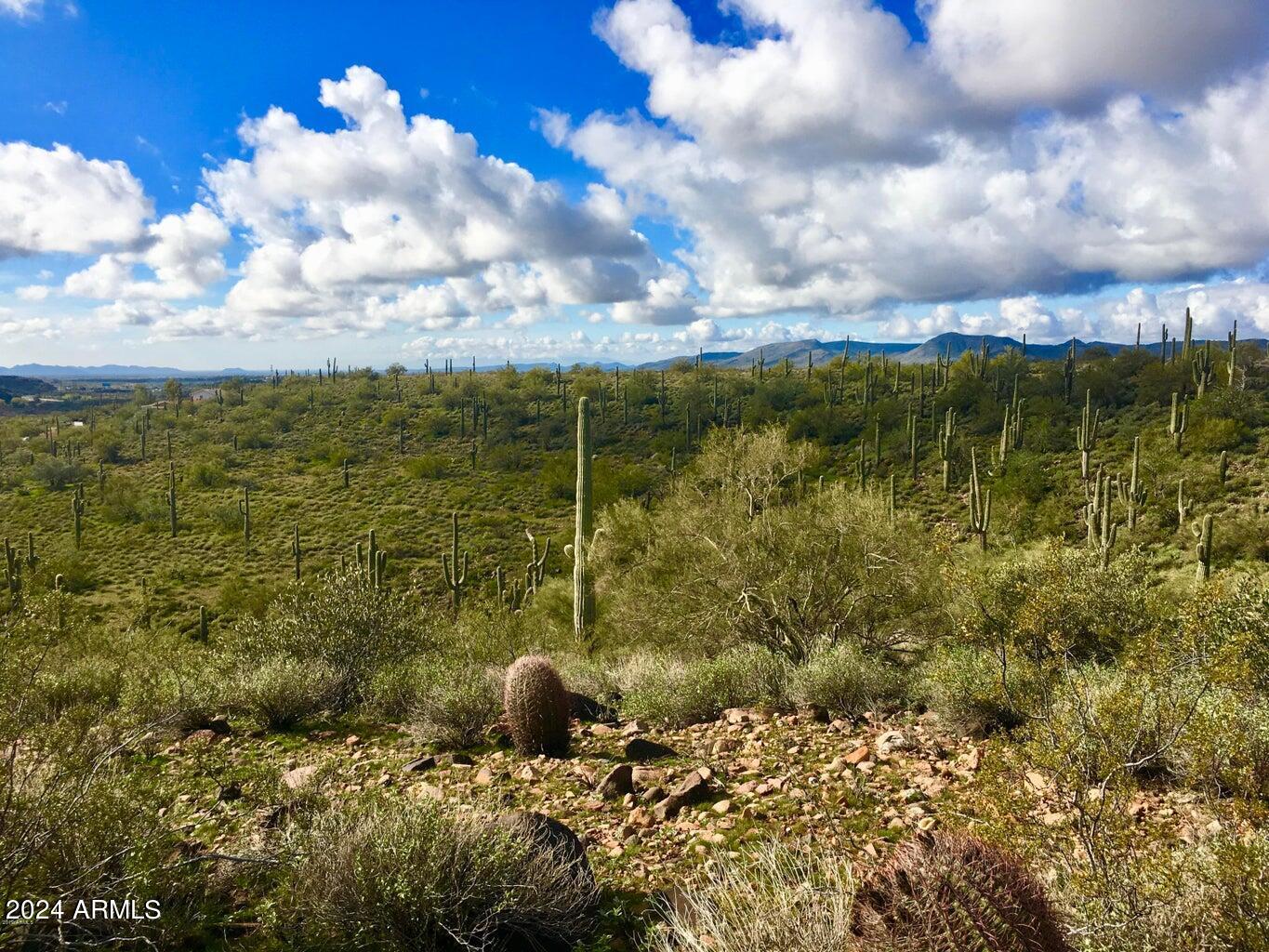 3353 W ROUGHRIDER 5 AC Road, -