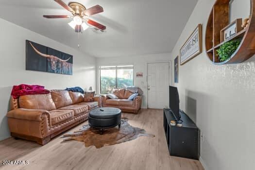520 S PALM Drive
