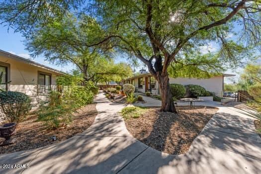 520 S PALM Drive