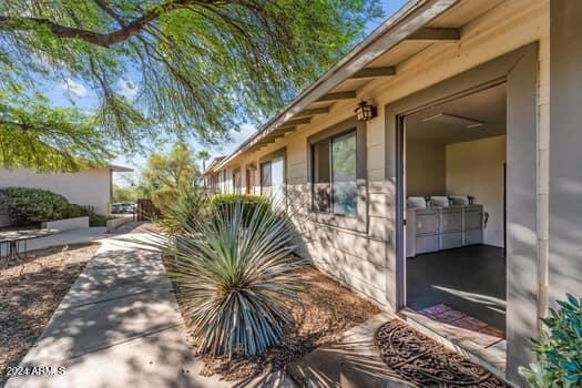 520 S PALM Drive