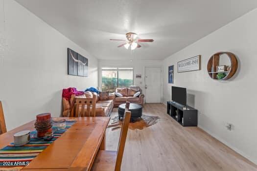 520 S PALM Drive