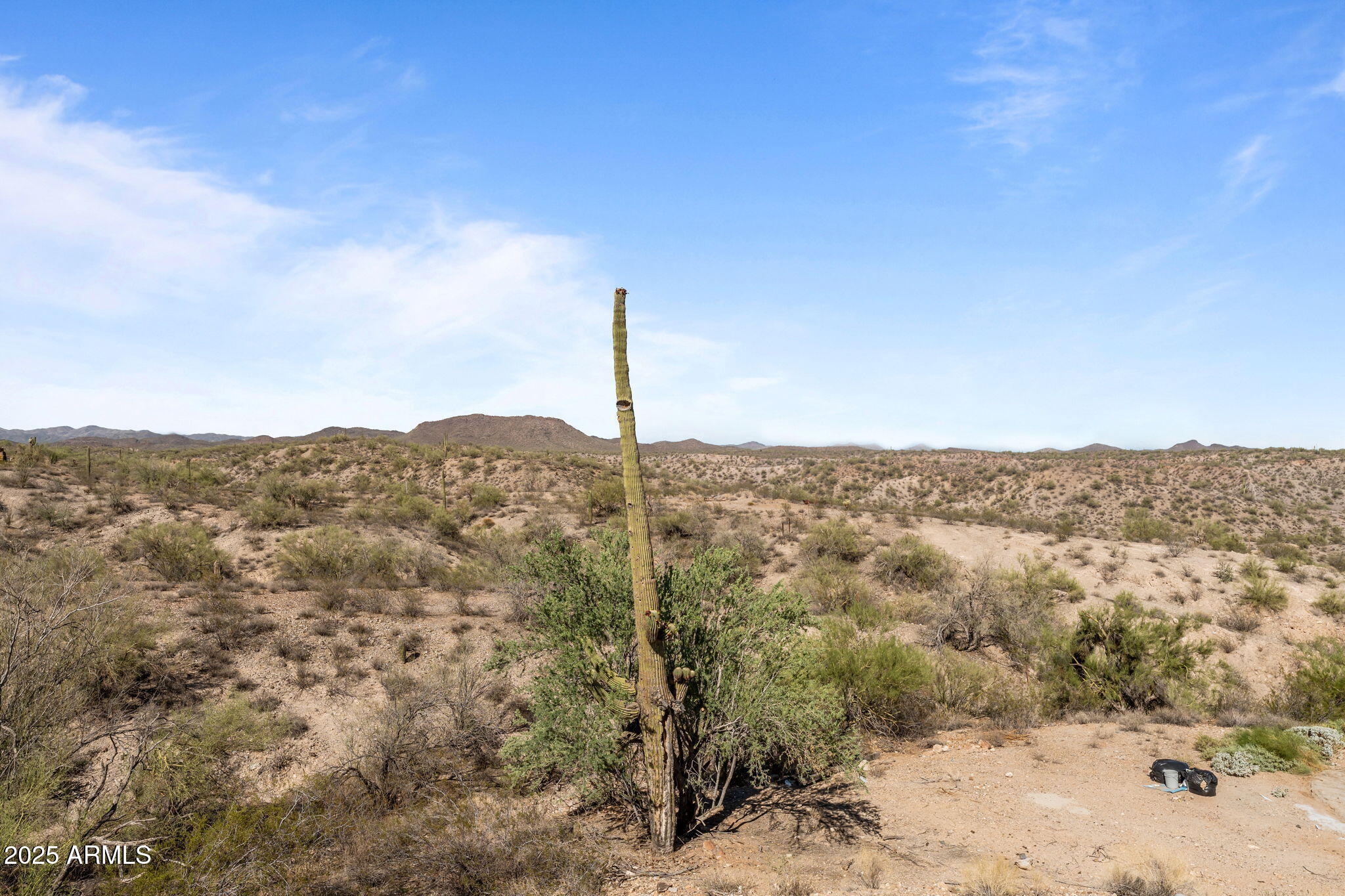 45327 SAN DOMINGO PEAK Trail
